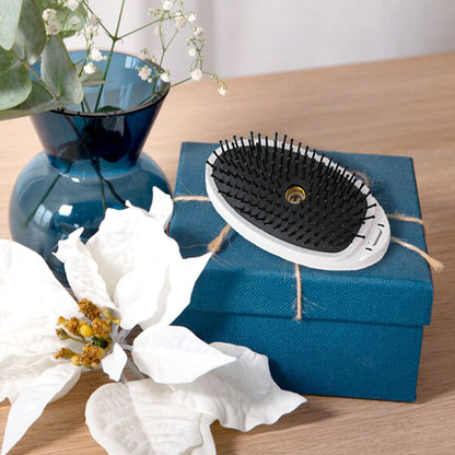 Electric ionic Steam Anti - Static Massage Comb