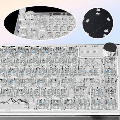 Universal Transparent Mechanical Keyboard with RGB Backlight