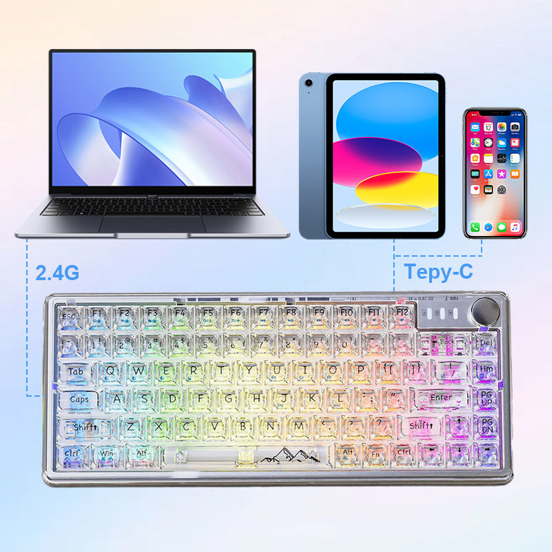 Universal Transparent Mechanical Keyboard with RGB Backlight