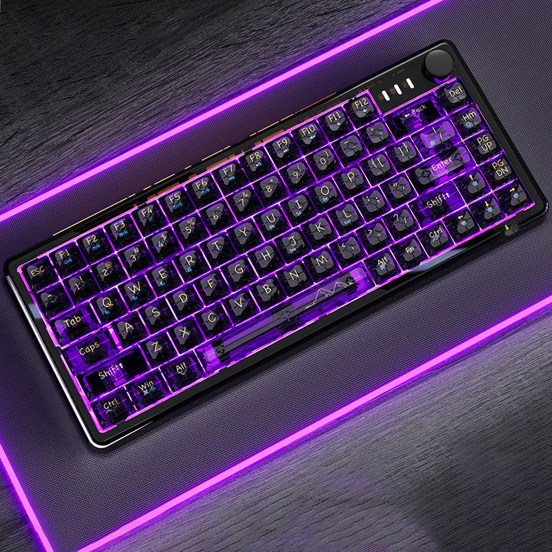 Universal Transparent Mechanical Keyboard with RGB Backlight