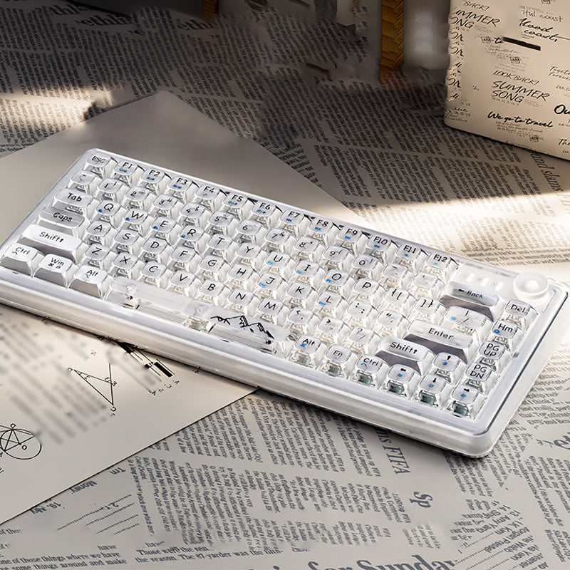 Universal Transparent Mechanical Keyboard with RGB Backlight