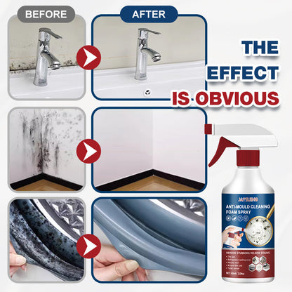 Mold & Mildew Stain Remover