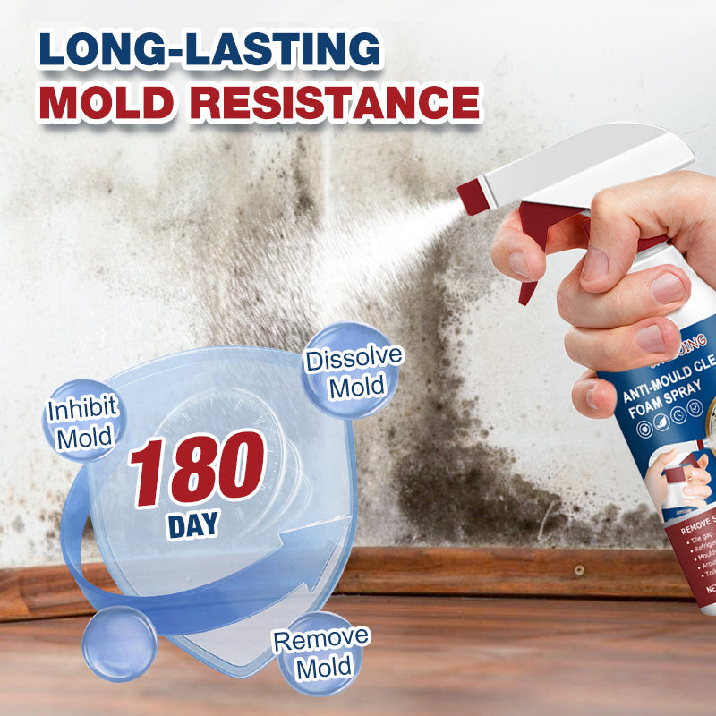 Mold & Mildew Stain Remover